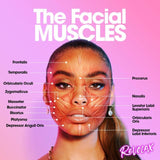 Facial Muscle Showing What Muscle Found In The Face